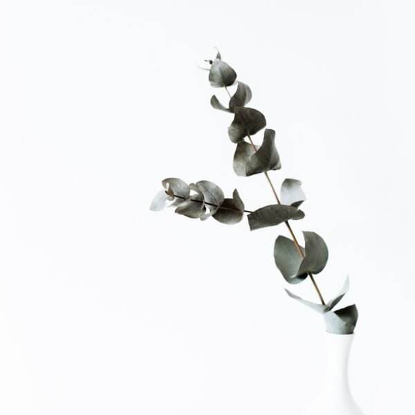 White Ceramic Vase